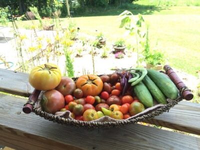 Food in a Preservation Garden Image